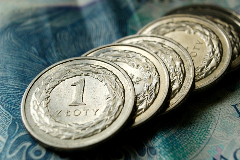 mince zloté